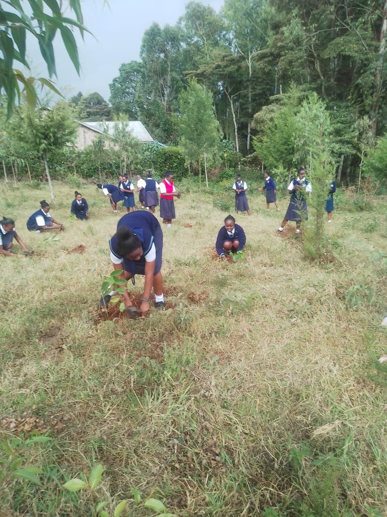 Students fun planting activity